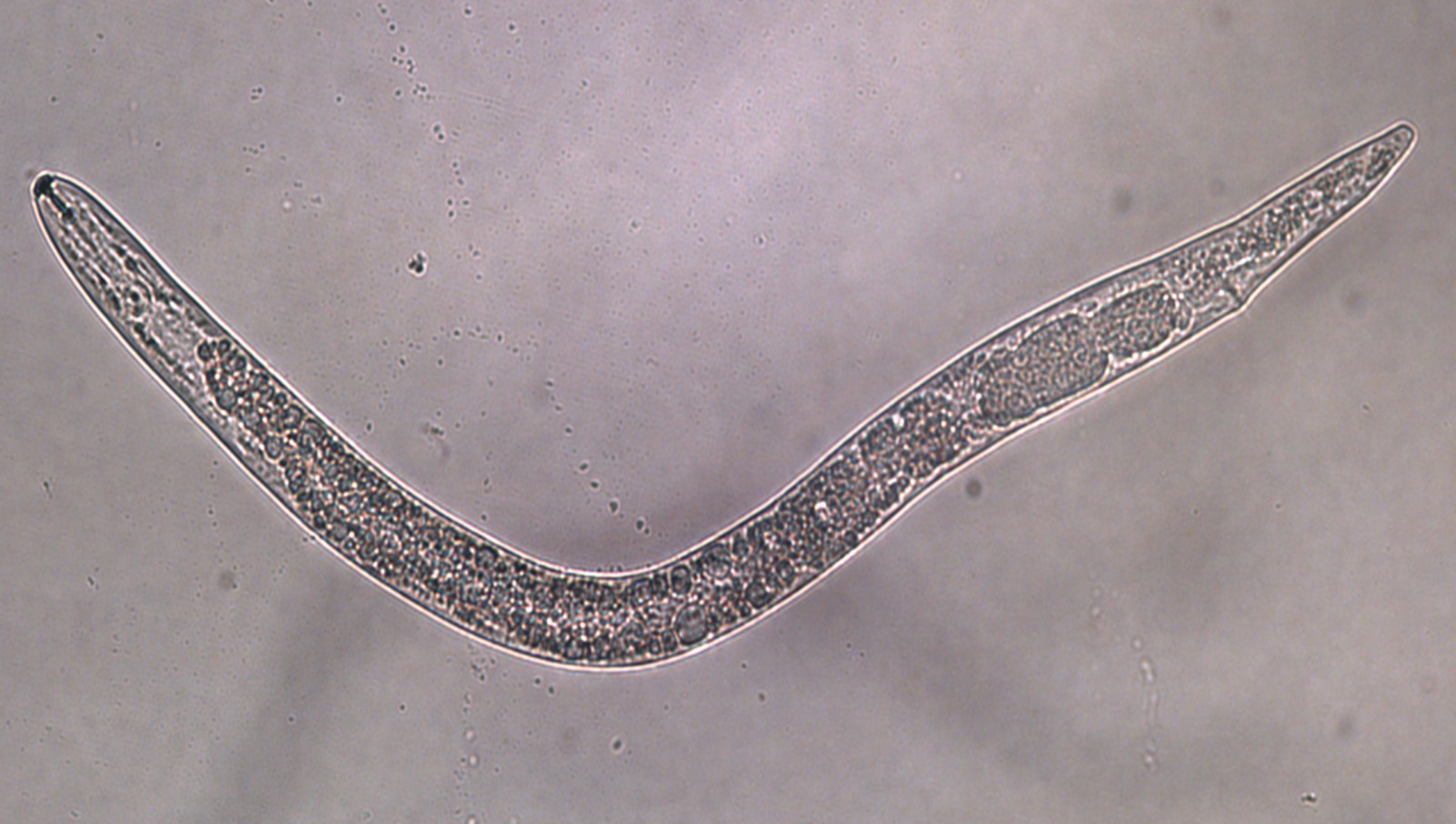 Scientific Gallery 10