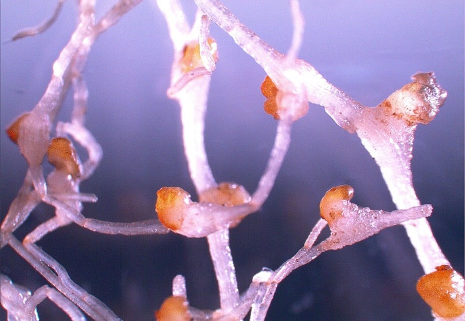 Scientific Gallery 11