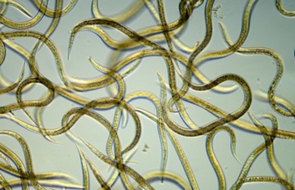 Scientific Gallery 4