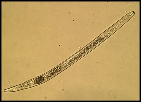 Scientific Gallery 5