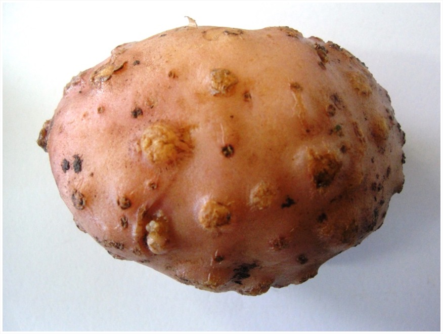 Scientific Gallery 6