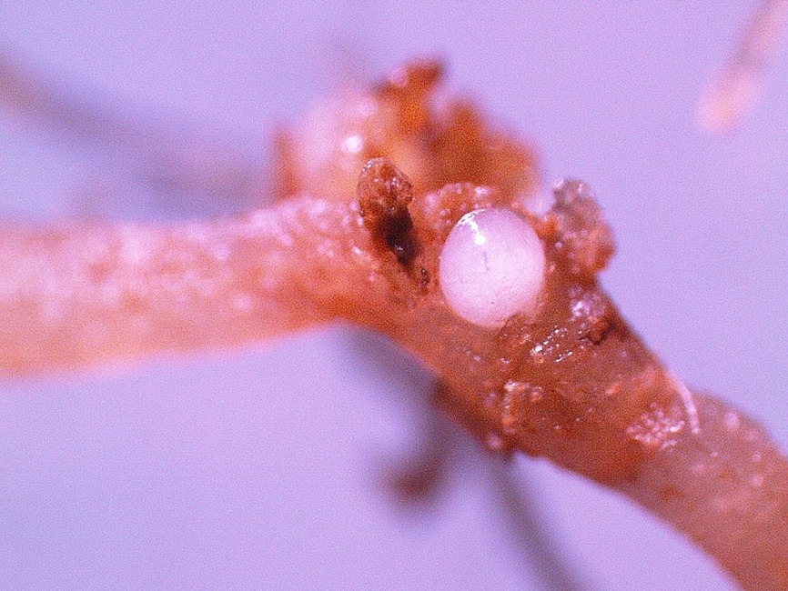 Scientific Gallery 7