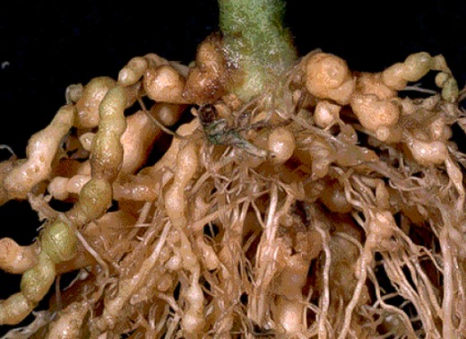 Scientific Gallery 8