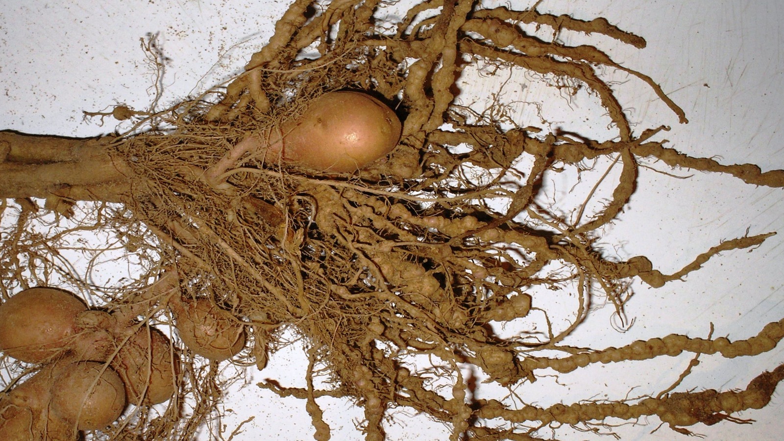 Scientific Gallery 9