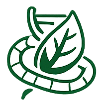 Icono Área 9